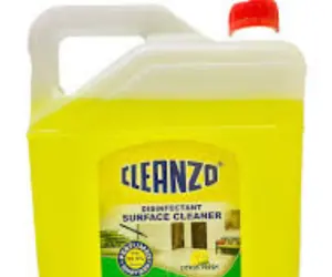 Cleanzo Floor Cleaner