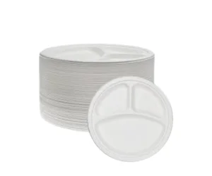 Disposable Compartment Plate